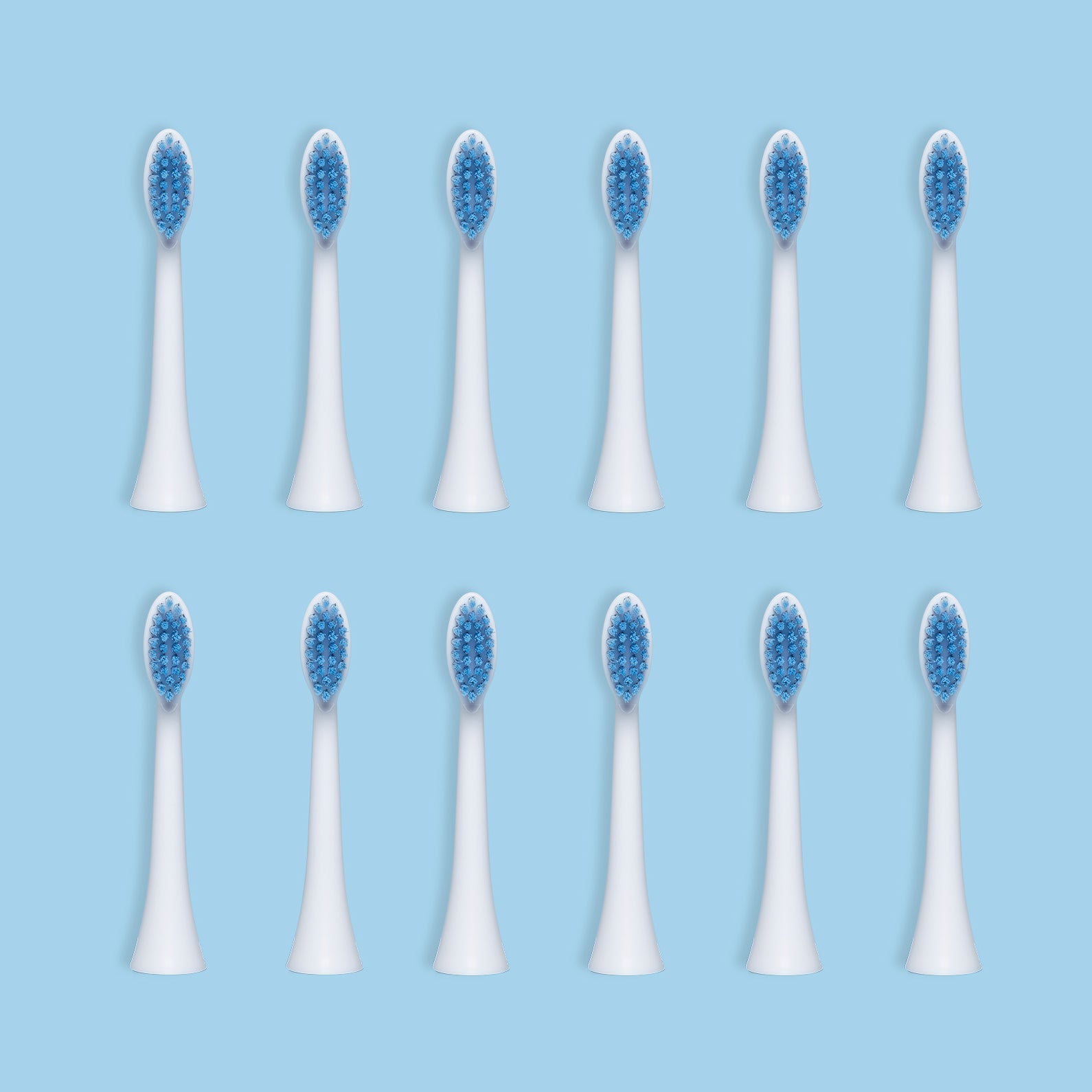 12 Pack Recycled Ocean-bound Brush Head - (Save20%)